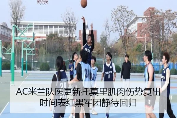img_1781202041556_1484_1_704.jpg