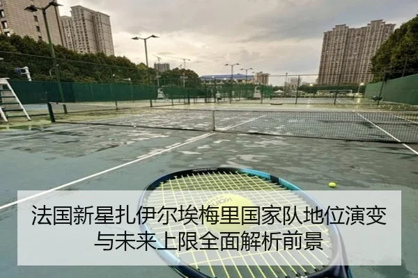 法国新星扎伊尔埃梅里国家队地位演变与未来上限全面解析前景